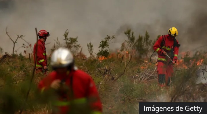 Los bomberos luchan contra un incendio forestal mientras decenas de miles de personas son evacuadas cerca de Burdeos.