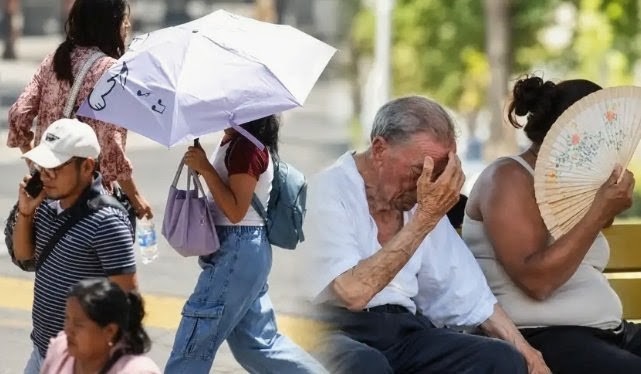 Alerta roja en 21 regiones: Senamhi advierte ola de calor extremo de hasta 35°C y ráfagas de 40 km/h
